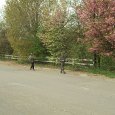 DSCF0278