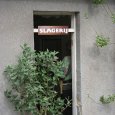 IMG_4874