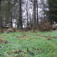 DSCF2579a