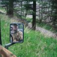 bryanskforestmay2008432jo8