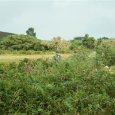 DSCF0816