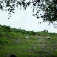 DSCF0829