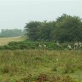 DSCF0853