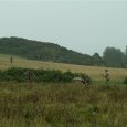 DSCF0854
