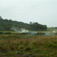 DSCF0856